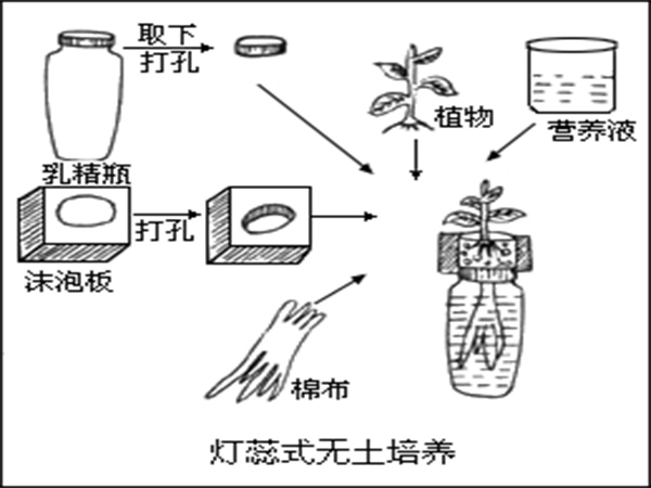 無(wú)土栽培營(yíng)養(yǎng)液